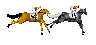 horse_run